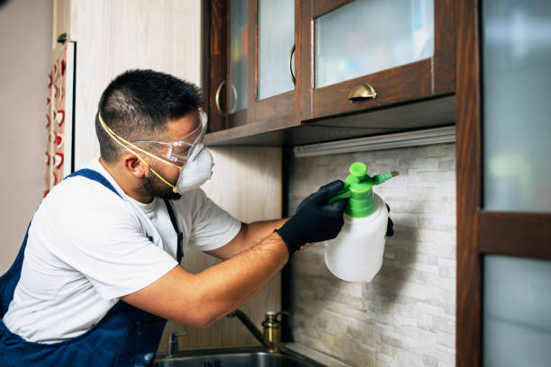 Best Residential Pest Control  in Porter, IN