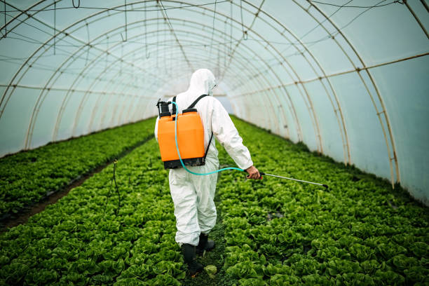 Best Pest Inspection Near Me  in Porter, IN