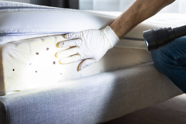 Best Cockroach Control Services  in Porter, IN
