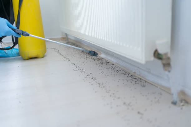 Best Affordable Pest Control Services  in Porter, IN